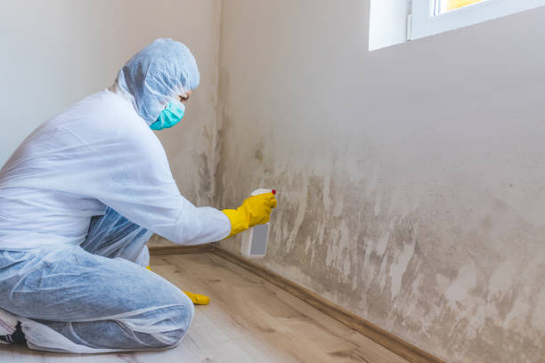 Bathroom Mold Removal assessment in Frenchville bathroom